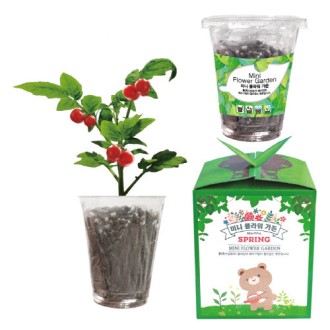 �̴� �ö�� ����(�丶��)