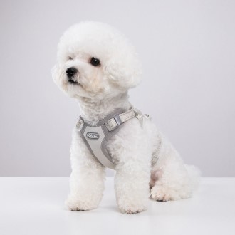 ���� ������ �ϳ׽� ���� ������ ������ ������ ������ȣ �⵵�й� ���� h�� y�� x�� ��å�� ������ ������ �ְ� �ݷ��� ��