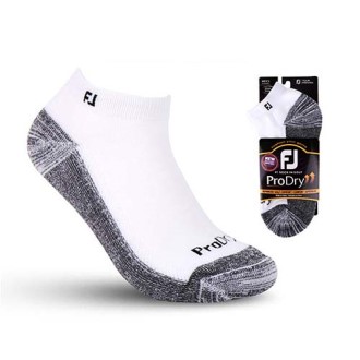 ǲ�������ε���̾縻1�� FJ