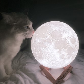 ���ڶ� 3�� ������ �޹���� 15cm // �����ħ�� ���ΰ���