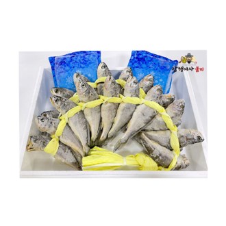 ������ ���� ��Ǳ��� 5ȣ 20�� 1.6kg, 18~19cm