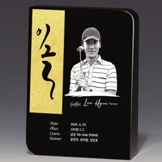 ������ ���� ���� Ʈ���� S8A024-34